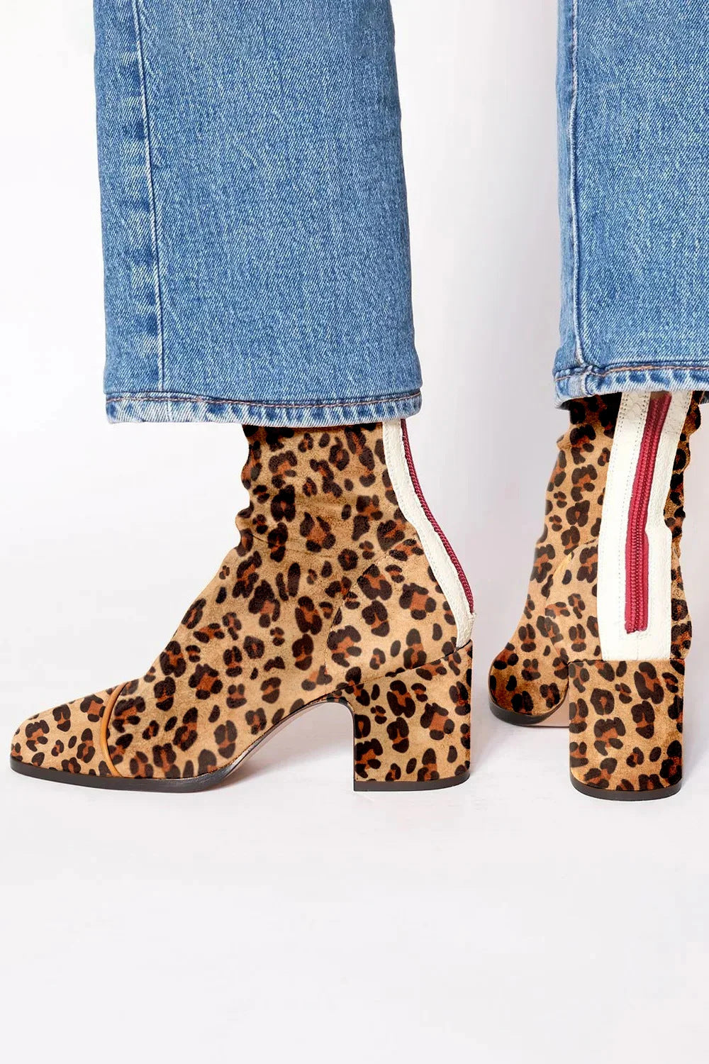 Leopard / 42